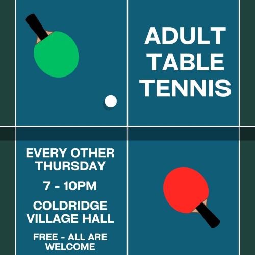 Adult Table Tennis Flyer